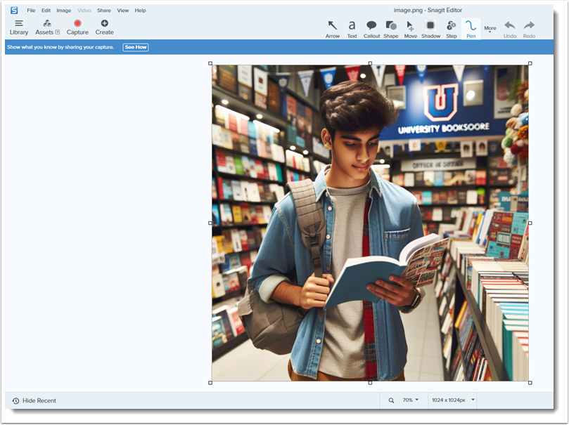 Image in SnagIt Editor