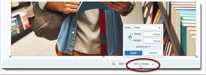 Image resolution button